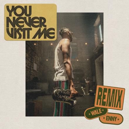 You Never Visit Me [Remix] (feat. Wale and Enny)